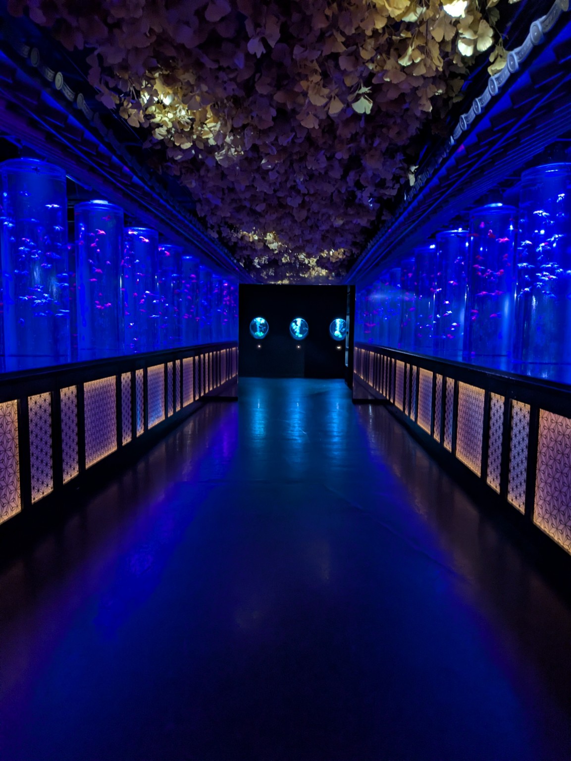 青の回廊と金魚の円柱水槽