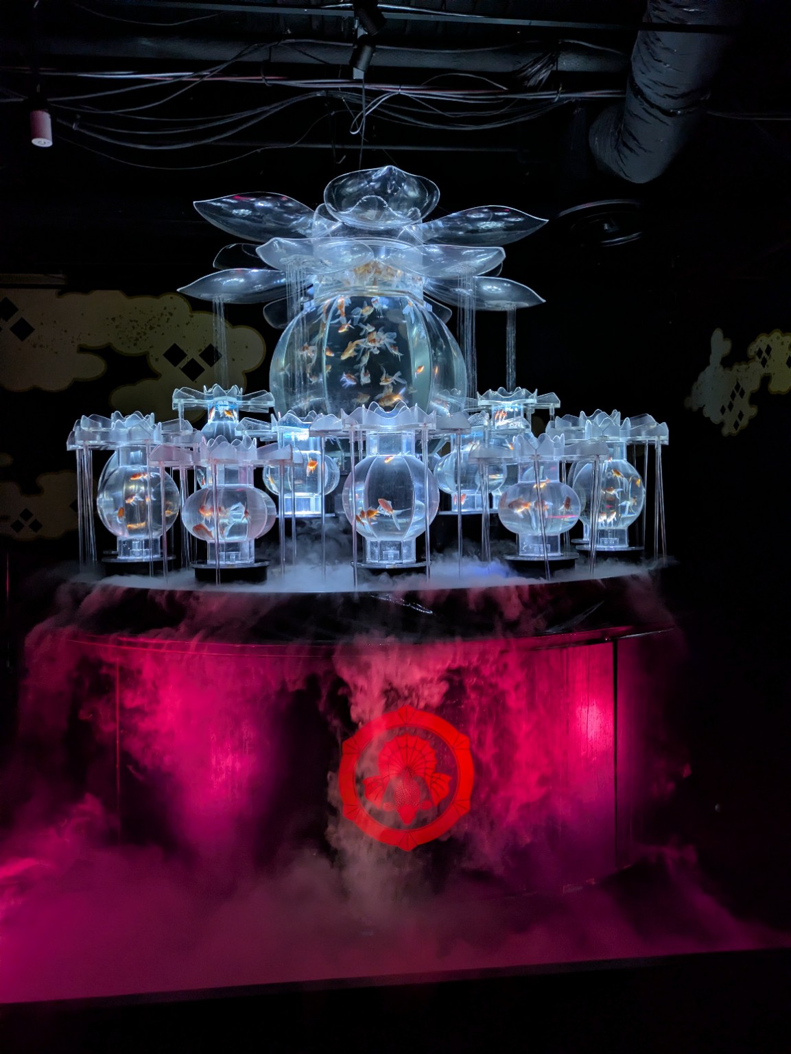 花の形をした水槽に舞う金魚