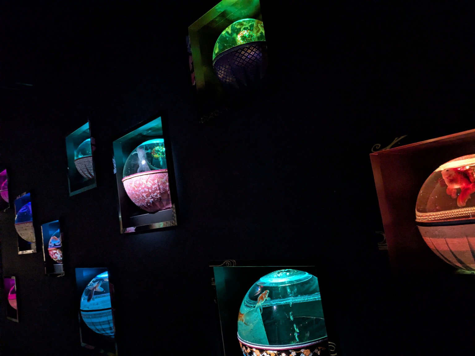 壁に飾られた金魚鉢アート