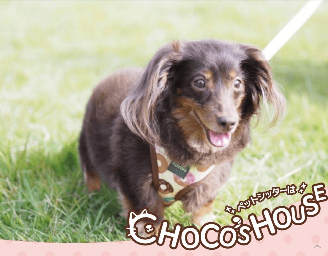 ちょこのおうちロゴ