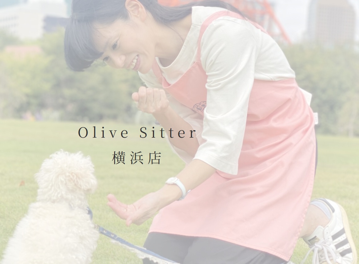 Olive Sitterロゴ