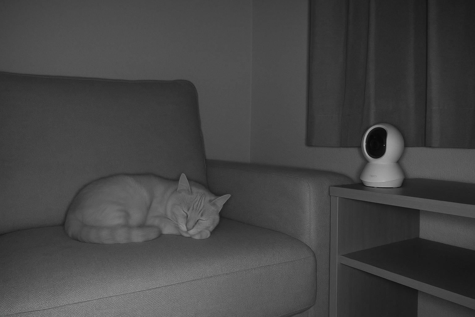 夜間の暗視サンプル